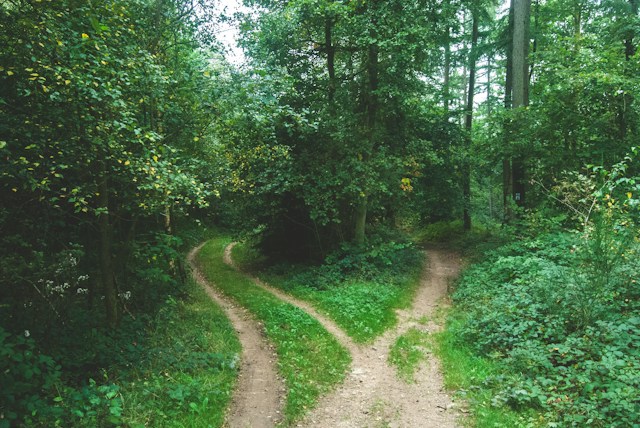 How to Make a Decision When You’re Stuck Between Two Options